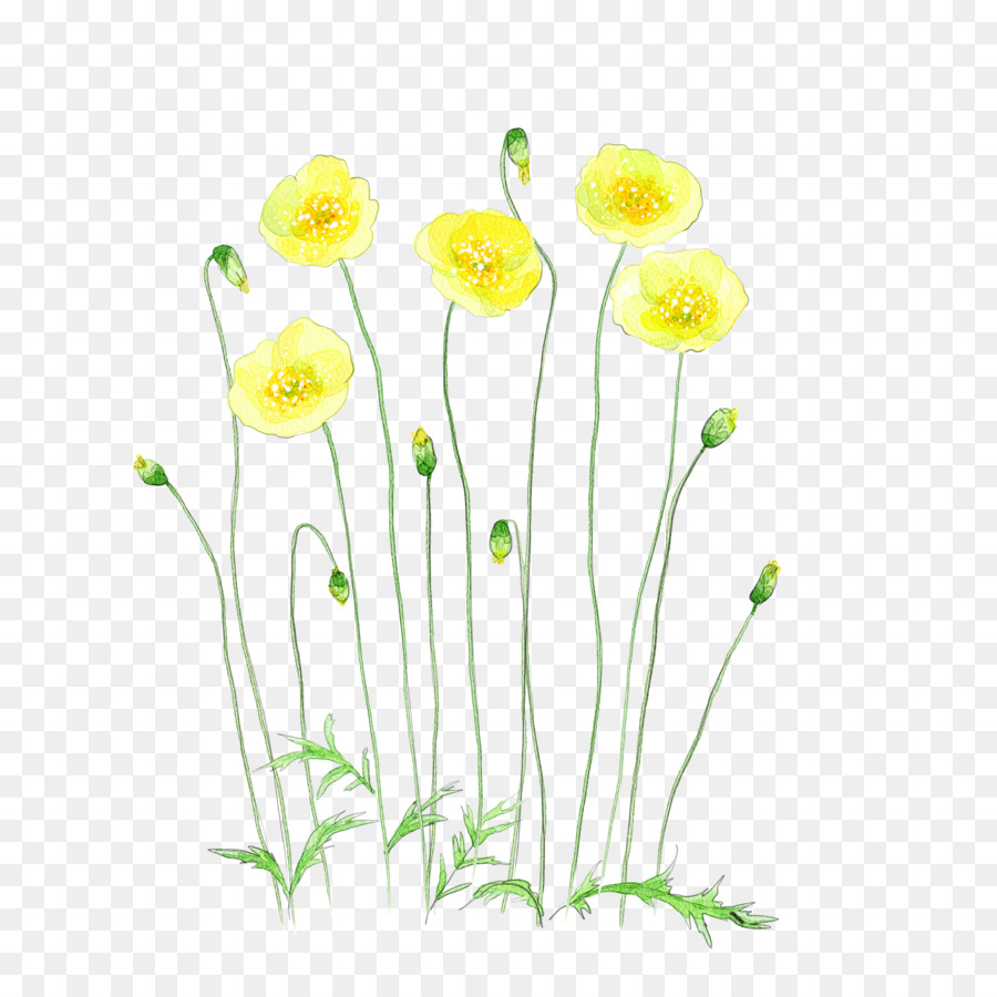 900x900 Flower Watercolor Painting Illustration - Watercolor Yellow Flowers