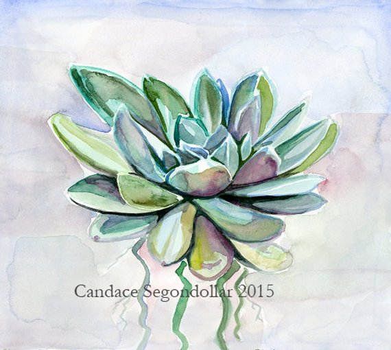 570x510 Succulent Zen Watercolor Etsy - Watercolor Zen