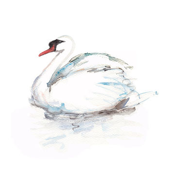 354x354 Swan Watercolor Painting Art Animal Zen - Watercolor Zen