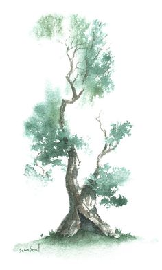 236x393 Titlelittle Zen Tree 204artistsean Sealmediumpainting - Watercolor Zen