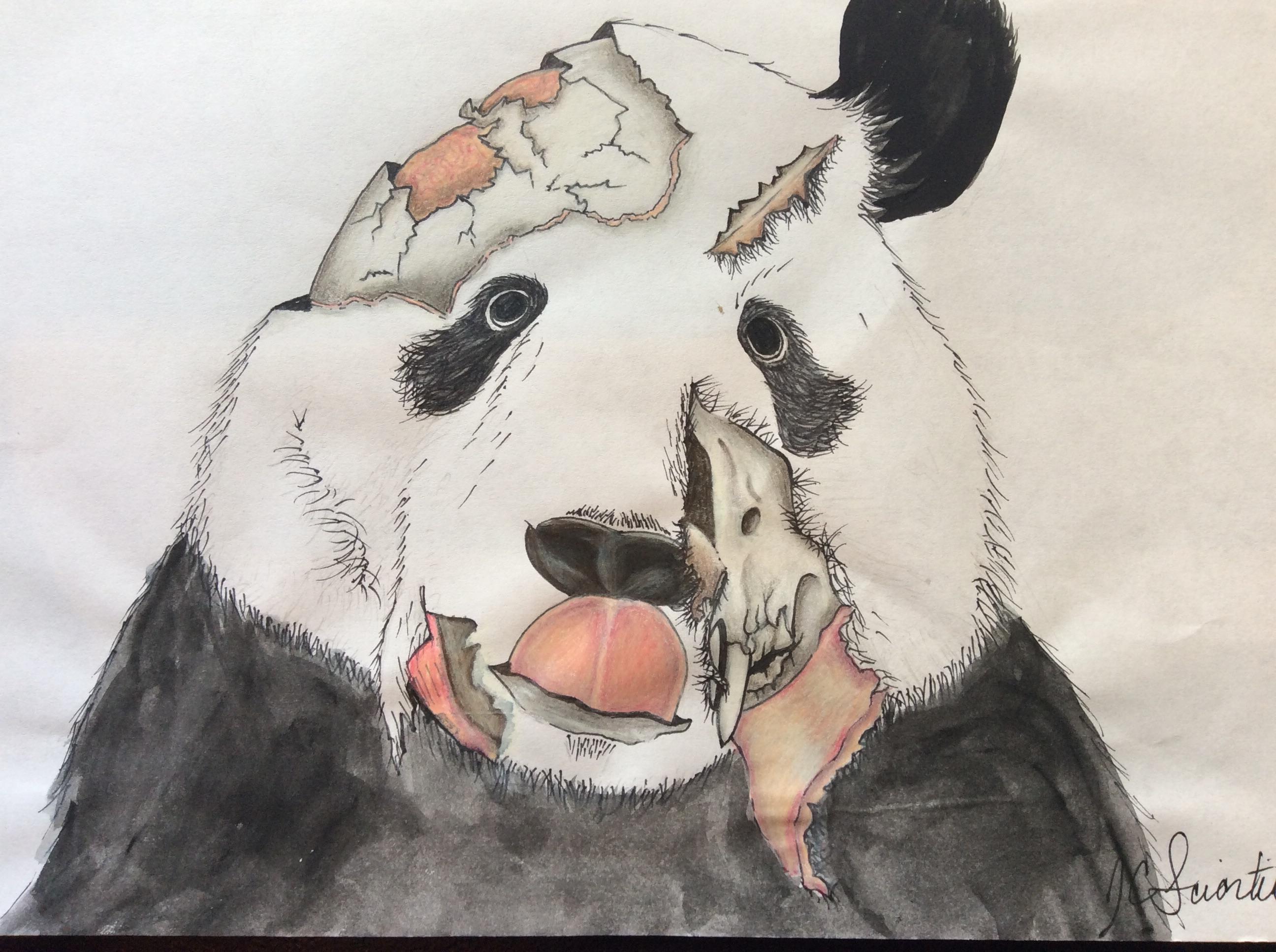 2592x1936 Panda Zombie..watercolor And Ink Watercolor - Watercolor Zombie