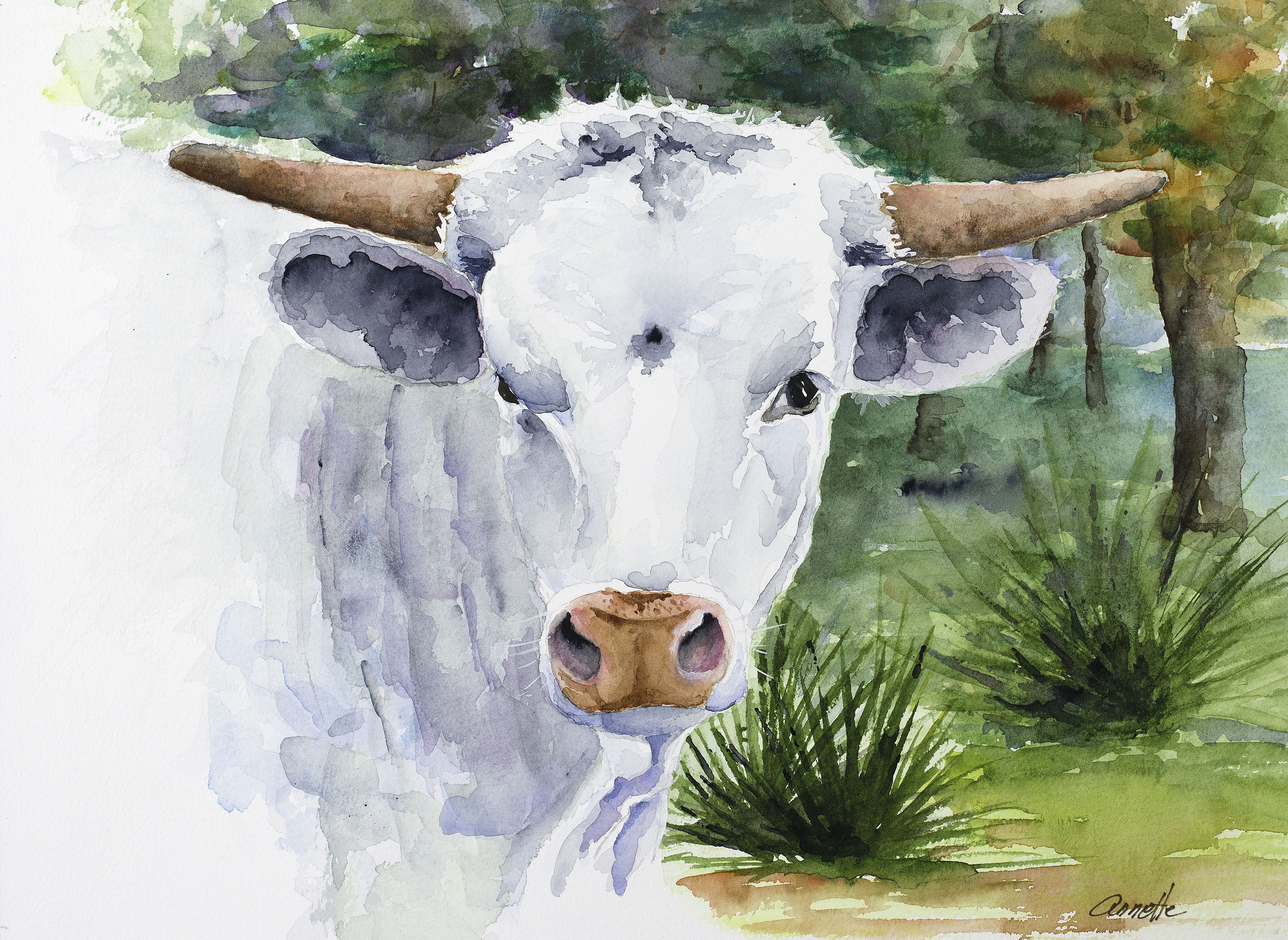4355x3180 Featured On Texas Public Radio Annette Bennett Watercolor Art - Watercolors Radio Station