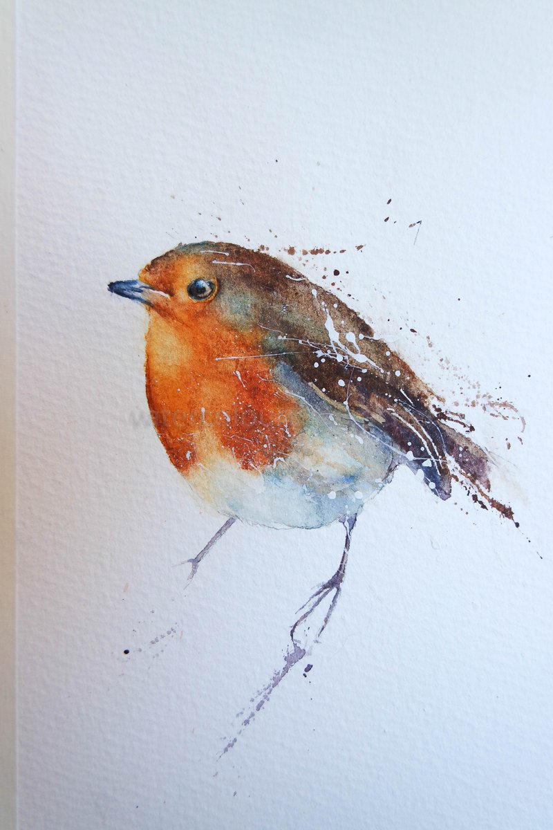 800x1200 Rachel Toll On Twitter Robin - Watercolour Robin