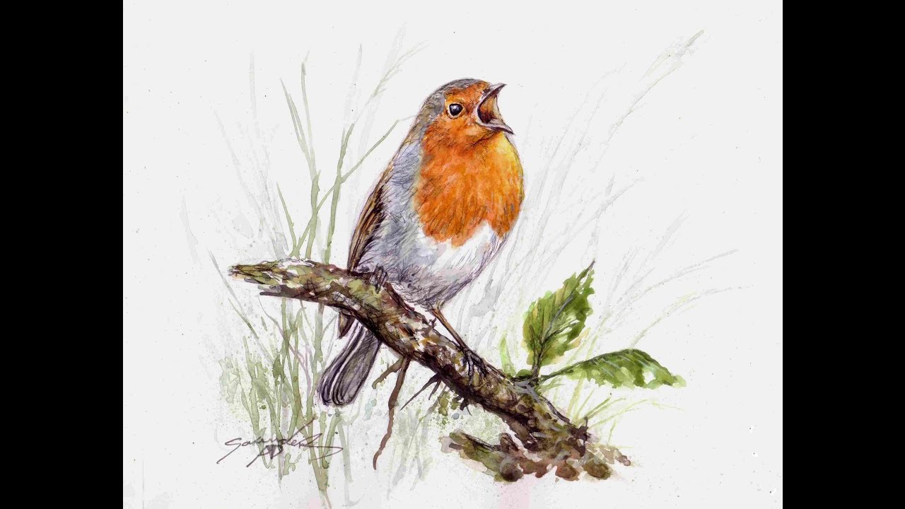 1280x720 Robin Bird Speed Watercolour - Watercolour Robin