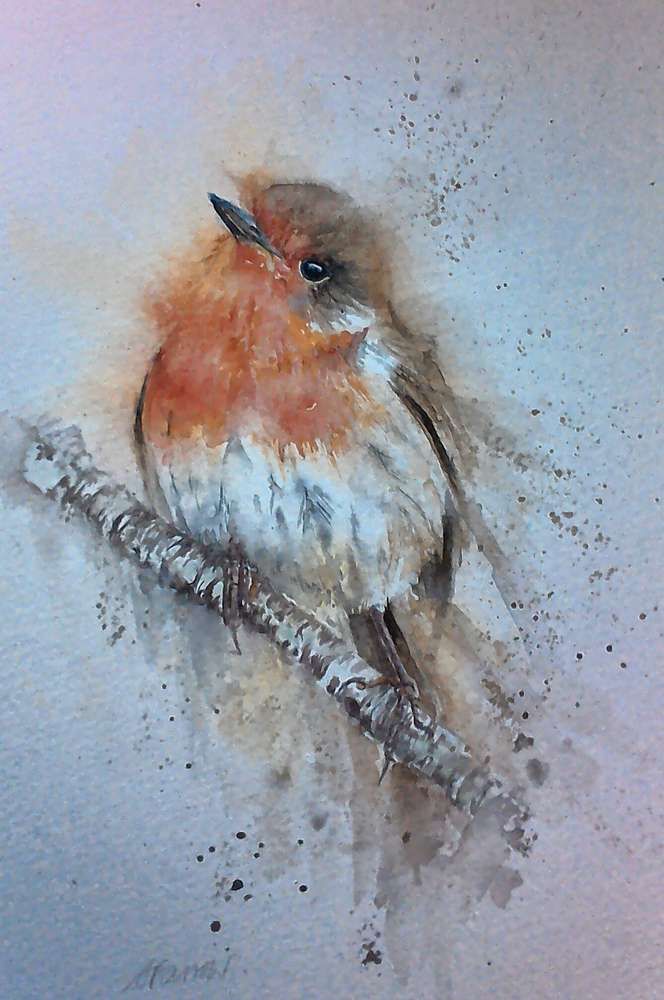 664x1000 Robin Original Watercolour By Sylvia Farrow Watercolors - Watercolour Robin