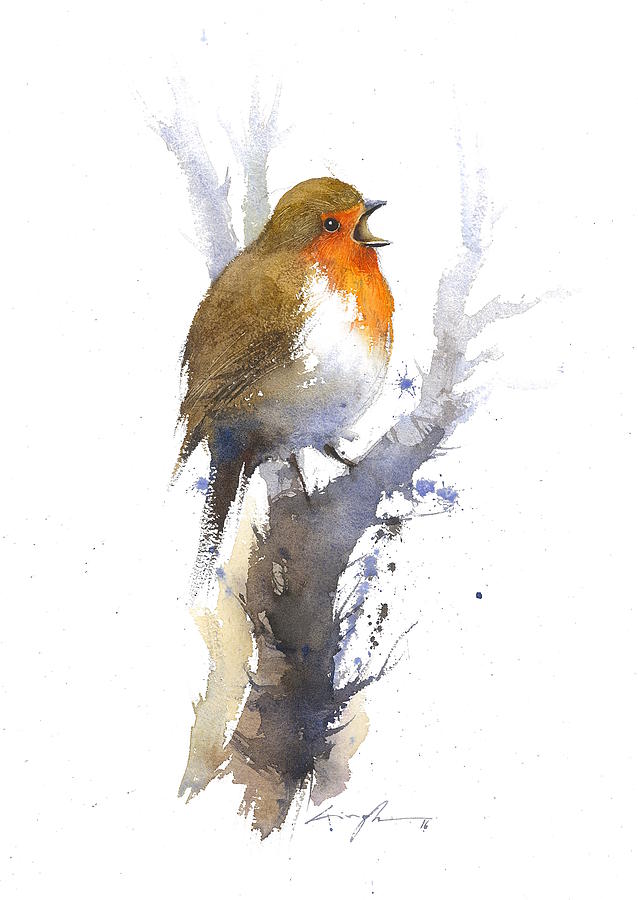 638x900 Robin Watercolour Bird Painting By Nitin Singh - Watercolour Robin