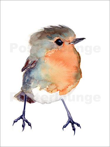 375x500 Verbrugge Watercolor Baby Robin Watercolour Poster Posterlounge - Watercolour Robin