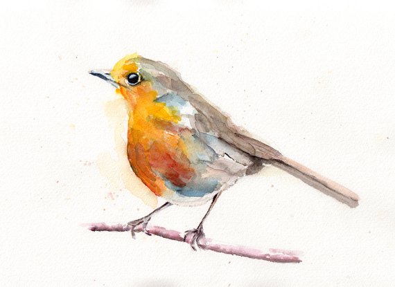 570x415 Watercolor Bird Watercolour Robin Bird Art Wall Art Etsy - Watercolour Robin