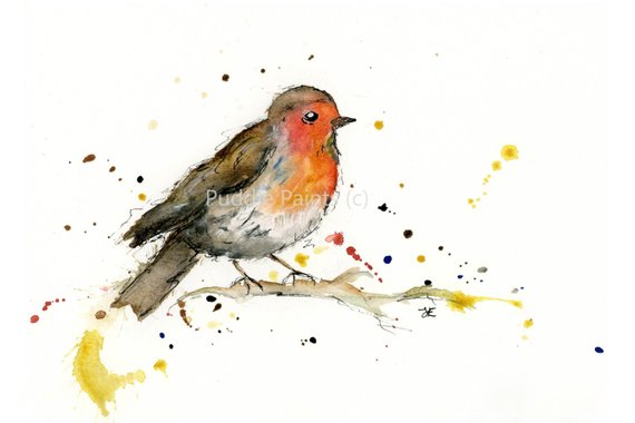 570x380 Watercolour Painting Robin Painting Bird Painting Etsy - Watercolour Robin