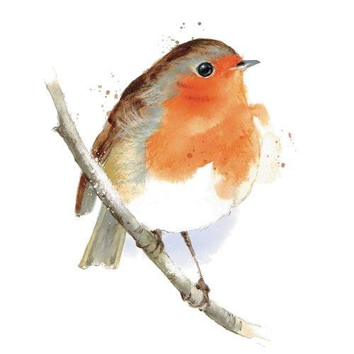 500x500 Watercolour Robin - Watercolour Robin