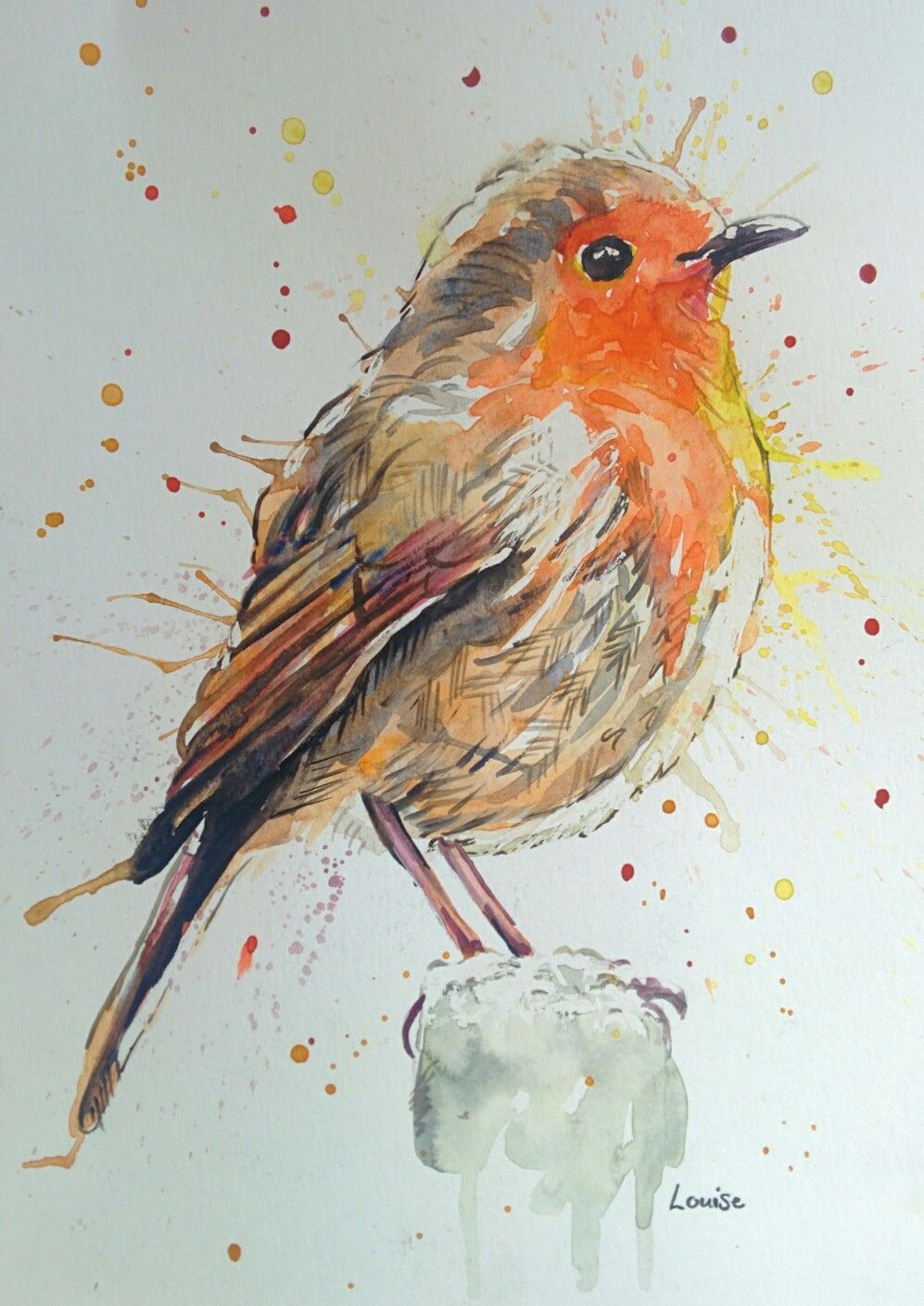 997x1409 Watercolour Robin Watercolour Animal Illustrations - Watercolour Robin