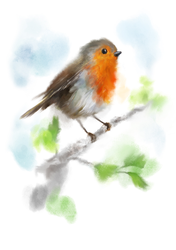 600x849 Watercolour Robin Art Print Martha Bowyer - Watercolour Robin