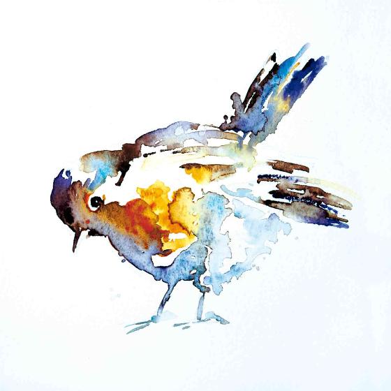 560x560 Watercolour Robin Christmas Cards (10 Pack) - Watercolour Robin