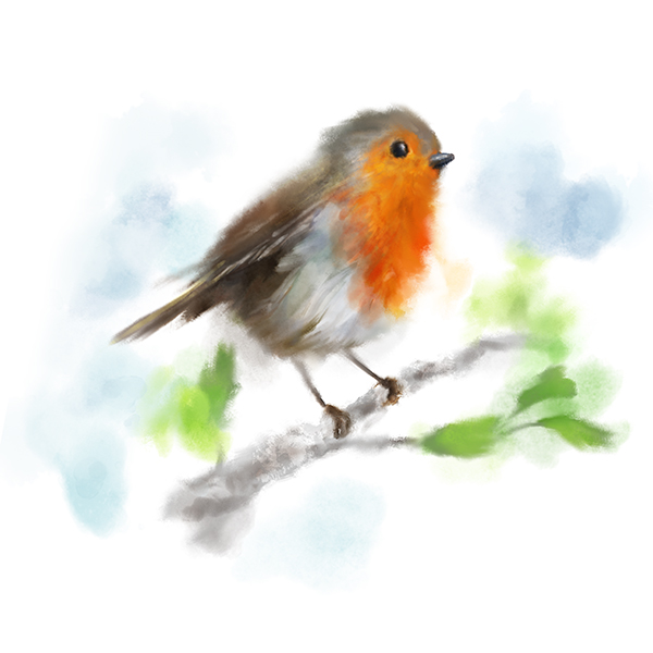 600x600 Watercolour Robin Large A3 Poster Martha Bowyer - Watercolour Robin