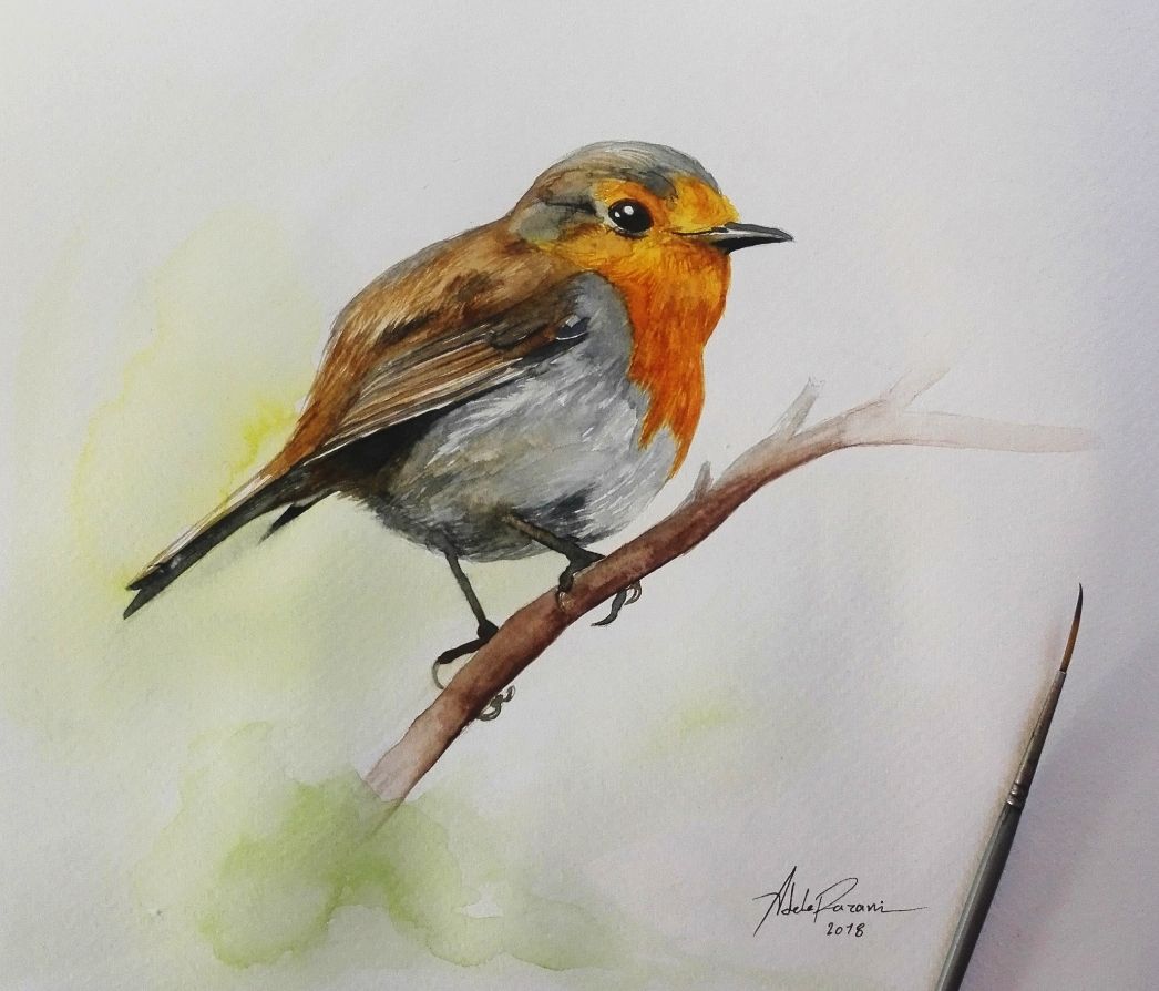 1046x894 Watercolour Painting - Watercolour Robin