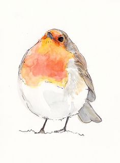 236x321 Watercolour Robin, Lta Href=httpwww.cupofteaillustration.co.uk - Watercolour Robin