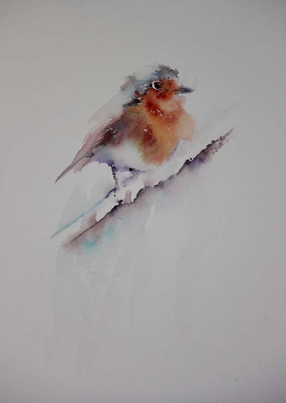 567x800 Watercolours With Life Robin In Watercolour 2016 - Watercolour Robin