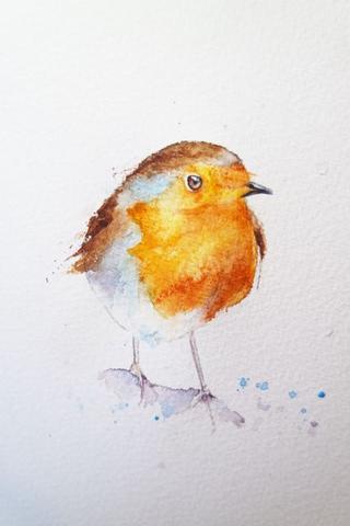 Watercolour Robin at PaintingValley.com | Explore collection of ...