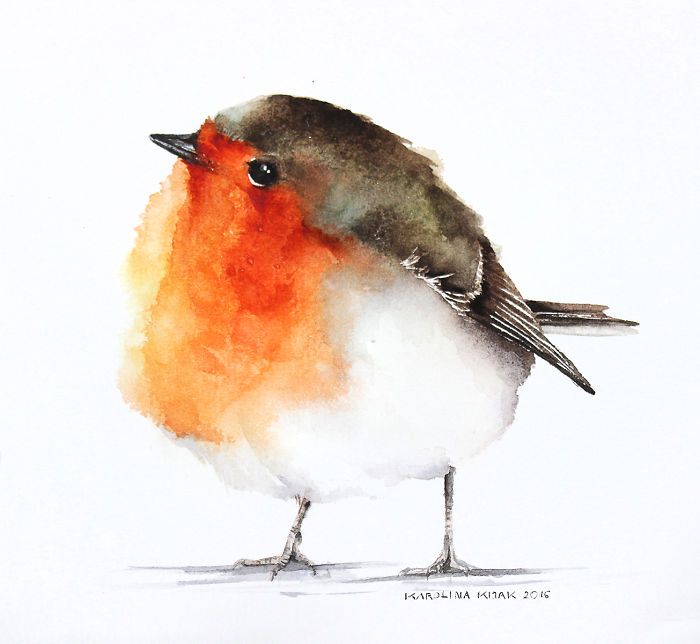 700x644 I Watercolor Birds To Express How Much I Love Them Art Projects - Watercolour Robin