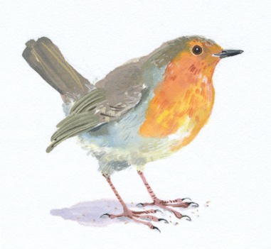 381x351 Original Watercolour Robin - Watercolour Robin