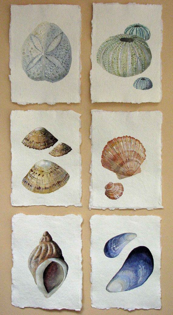 570x1033 Is Sea Shell Art A Lost Form That Creative Feeling - Watercolour Shell Paintings