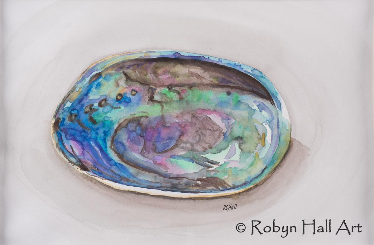 1200x786 Paintings - Watercolour Shell Paintings