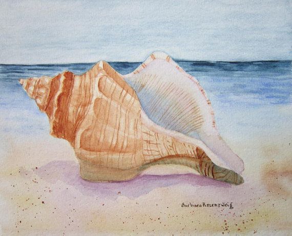 570x460 Seashell Painting, Original Seashell Art, Conch Watercolor - Watercolour Shell Paintings