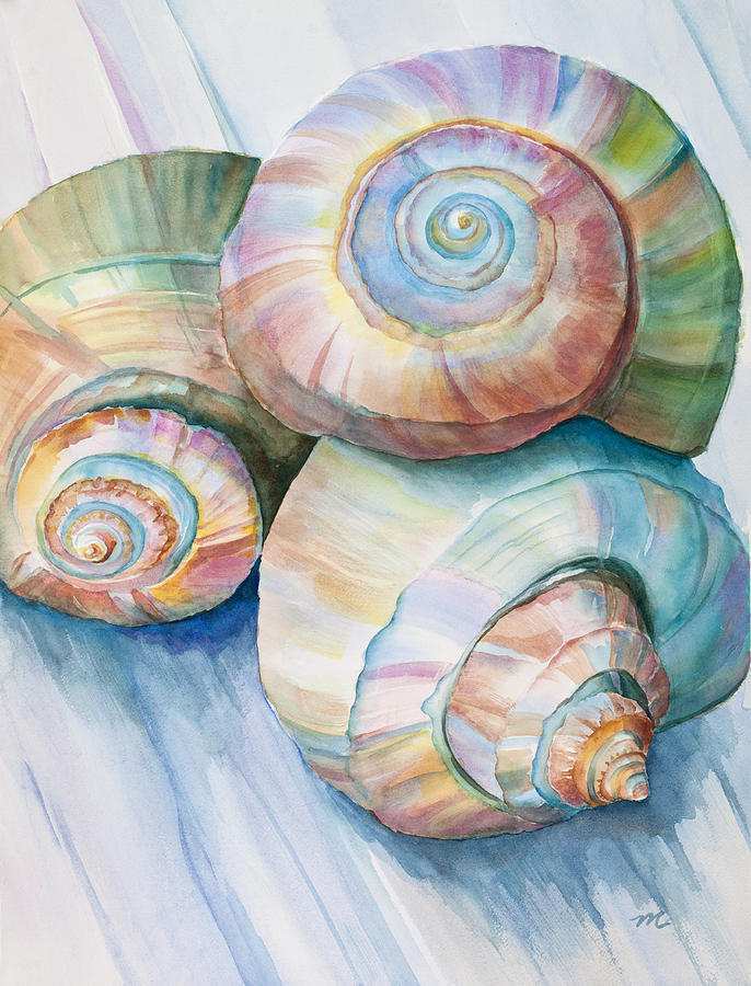 686x900 Seashell Painting Awesome Watercolor Painting Michelle Wiarda Sea - Watercolour Shell Paintings