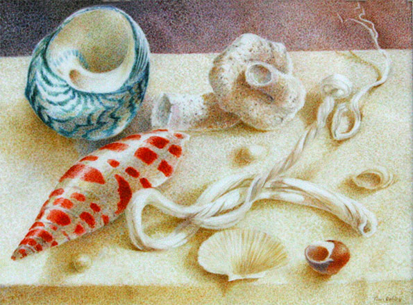 595x440 Still Life With Shells Watercolour On Vellum Miniature - Watercolour Shell Paintings