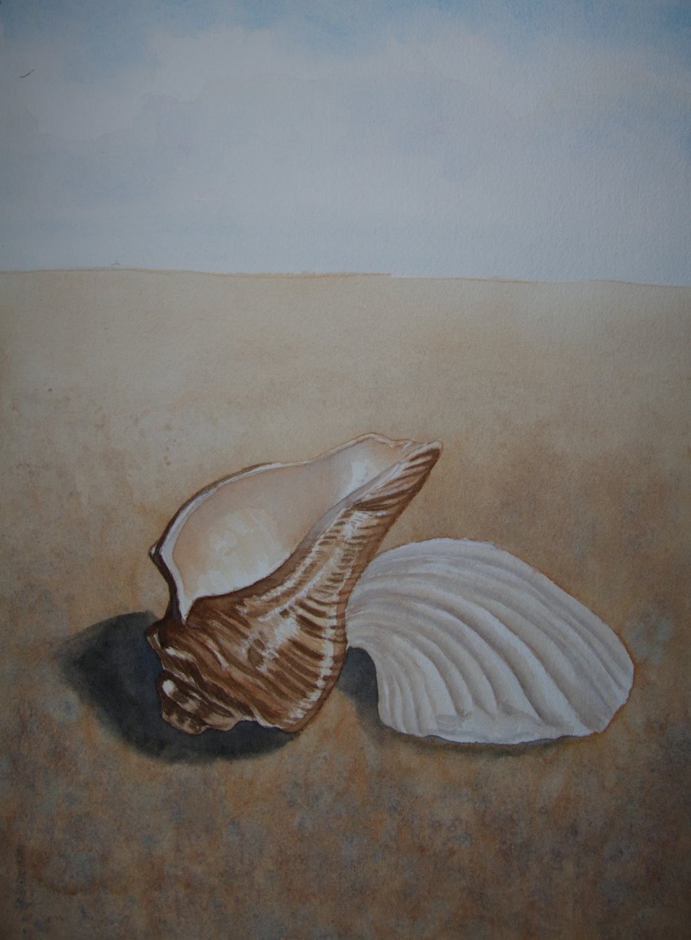 1000x1359 Tracey Costescu - Watercolour Shell Paintings