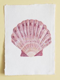 236x314 Watercolor Seashells Paintings - Watercolour Shell Paintings