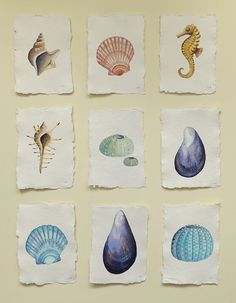 236x303 Charming Watercolors By David Scheirer Art Inspiration - Watercolour Shell Paintings