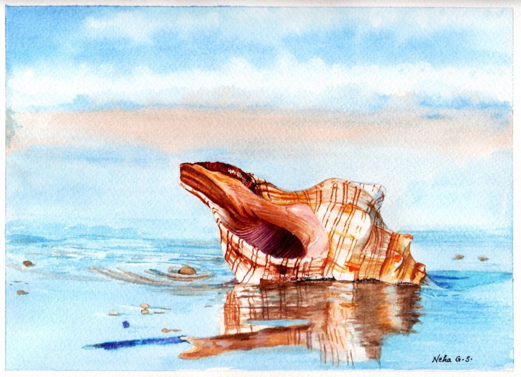 1024x742 ~ Guest Artist An Eye For Details By Neha Subramaniam - Watercolour Shell Paintings