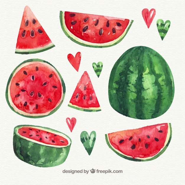 626x626 Watermelon Vectors, Photos And Psd Files Free Download - Watermelon Watercolor