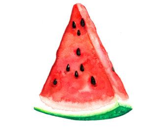 340x270 Watermelon Watercolor Painting Original, Fruit 5 X 7 Original Red - Watermelon Watercolor