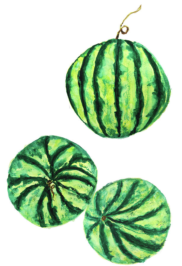 615x900 Watermelon Watercolor Painting By Color Color - Watermelon Watercolor