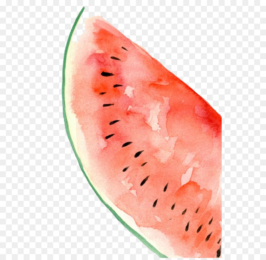 900x880 Watermelon Watercolor Painting - Watermelon Watercolor
