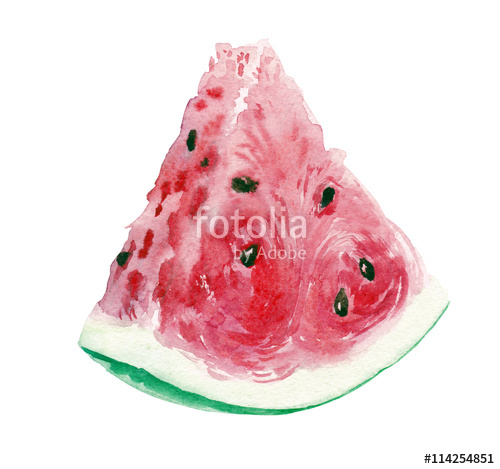 500x469 Slice Of Watermelon Watercolor Stock Photo And Royalty Free - Watermelon Watercolor