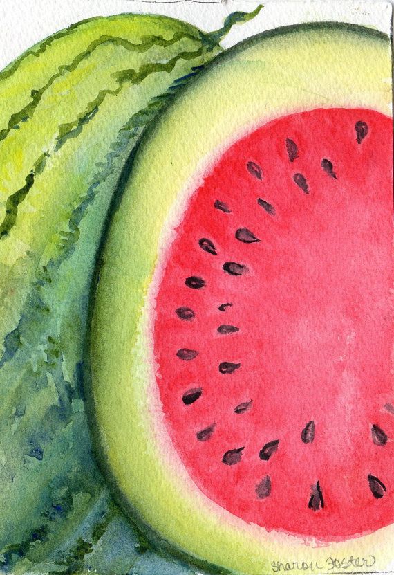 570x831 By Sharonfosterart. Art Watercolor, Paintings And - Watermelon Watercolor Painting