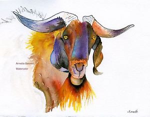 300x234 Goat Print, Western, Signed By Artist, Farm Animal, 8x10, Western - Western Watercolor