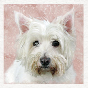 300x300 West Highland Terrier Westie, Watercolor - Westie Watercolor