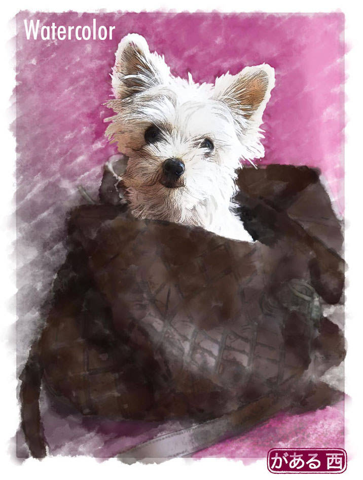 716x948 Westie - Westie Watercolor