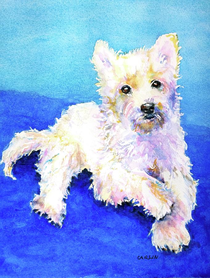681x900 Westie Painting In Watercolor Painting By Carlin Blahnik - Westie Watercolor