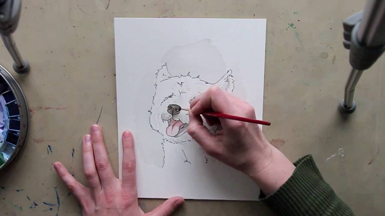 1280x720 Westie Watercolour Speedpaint - Westie Watercolor