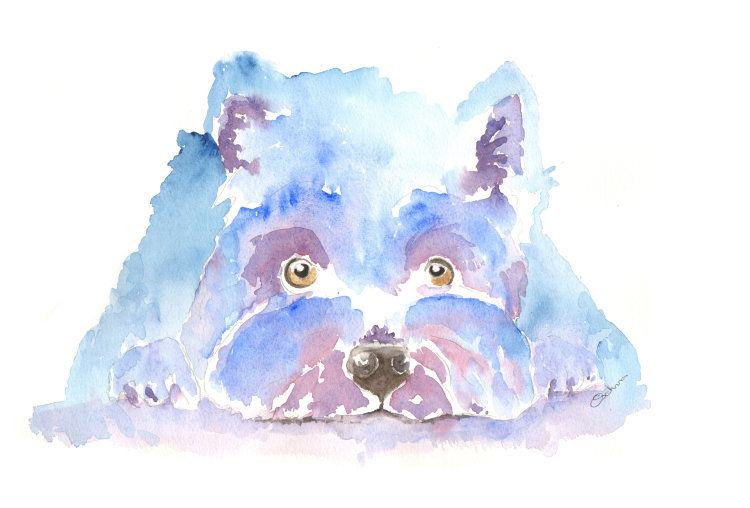 750x508 Art - Westie Watercolor