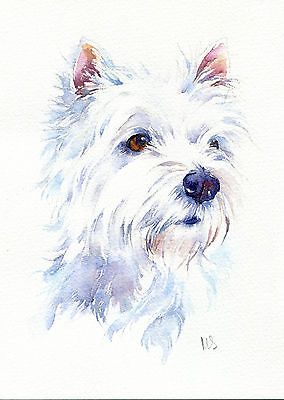 284x400 Watercolor Paintings Of West Highland Terriers - Westie Watercolor
