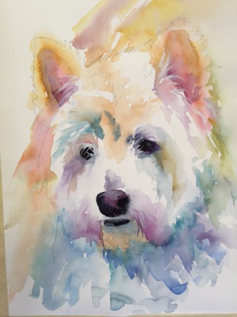 480x640 Westie Bennett Watercolor.jpg Its All About The White Dog - Westie Watercolor