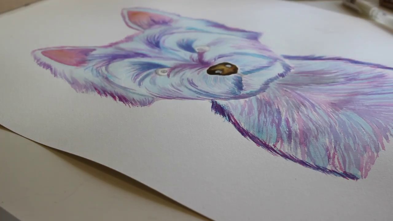 1280x720 Westie Watercolour Speed Painting - Westie Watercolor