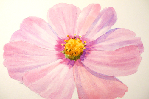 500x333 Paint Draw Paint, Learn To Draw Water Color Basics A Cosmos Flower - Wet On Wet Watercolor Flowers