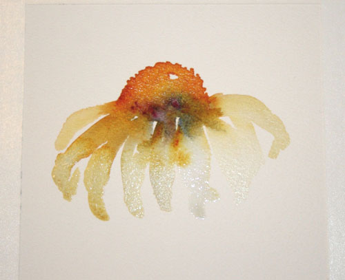 500x407 Watercolor Coneflowers With Wet In Wet Painting - Wet On Wet Watercolor Flowers